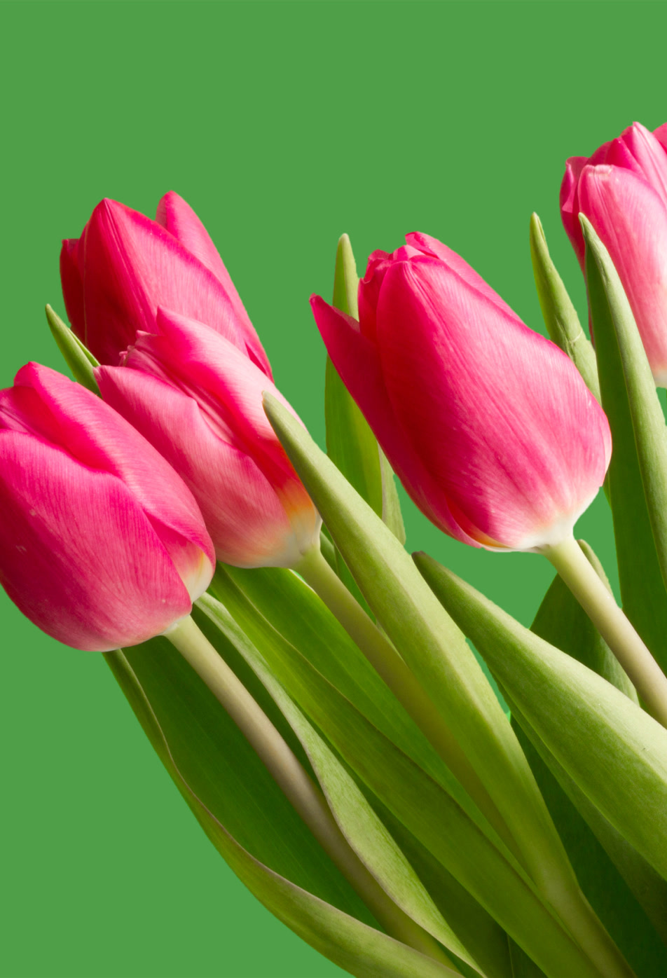 Далена банк